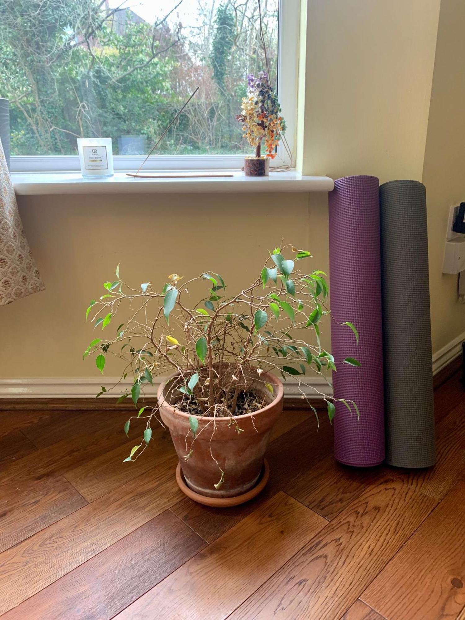 Peaceful Garden View Apt. Close To Central Λονδίνο Εξωτερικό φωτογραφία